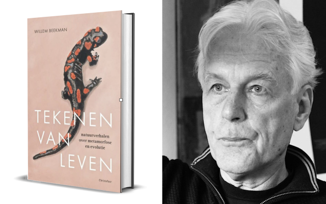 nieuwsbericht-tekenen-van-leven-willem-beekman.png