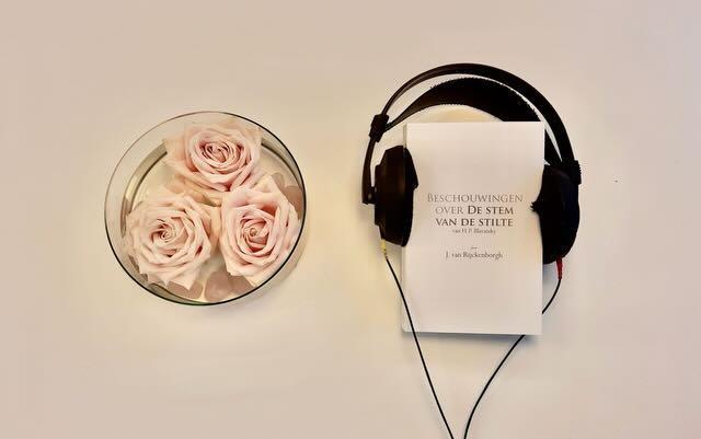 beschouwingen-over-de-stem-van-de-stilte-luisterboek.jpeg