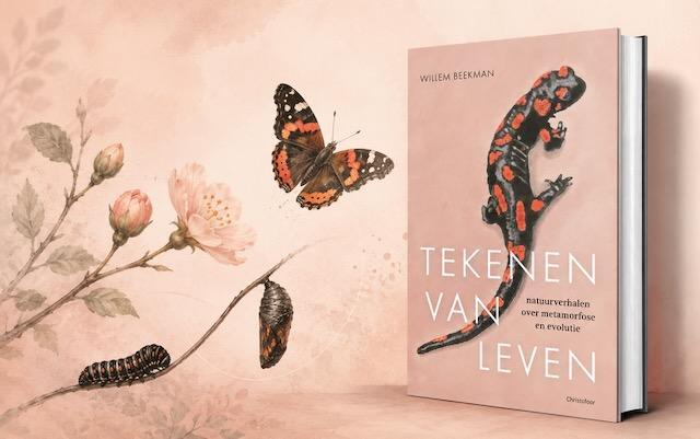 tekenen-van-leven-willem-beekman-640.jpeg