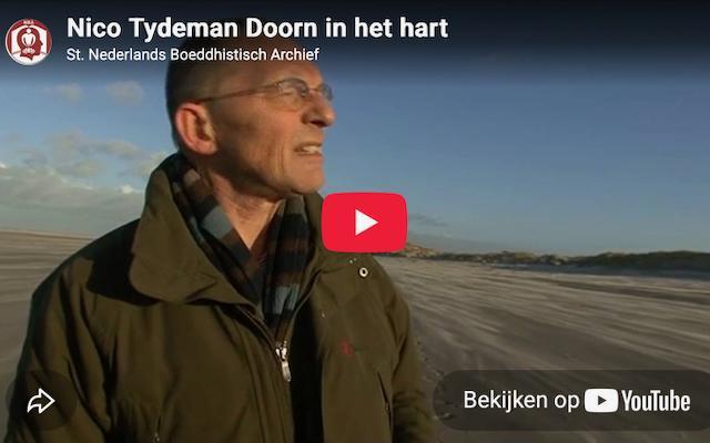 video-nico-tydeman-640.jpeg